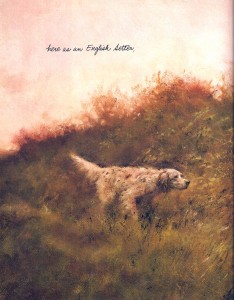 "English Setter"