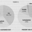 Fonte: http://www.paleodiet.it La dieta del futuro viene dal nostro passato remoto: massa, dimagrimento e salute senza contare mai le calorie! Autore: Claudio Tozzi IL TERMINE PALEO DIETA Per decenni ci...