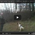 Clicca sulle Anteprime per Guardare i Video: SETTER OPPIS / Incontri su COLINI della VIRGINIA [V_2016-CV00999/0C] – SETTER OPPIS / Incontri su COLINI della VIRGINIA [V_2016-CV00998/0C]