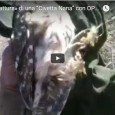 Clicca sull’Anteprima per Guardare il Video: Significativa Ripresa Video che mostra la – Fortunosa «Cattura» – di una Bellissima “Civetta Nana” da parte dell’Autore, grazie alla “pignoleria” Ferrea ed Insistente...