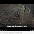 Clicca sull’Anteprima per Guardare il Video: – IL PETTIROSSO <<DAVVERO “CURIOSO”>>: Video Registrazione concernente una distinta “Fase Operativa” dovuta al Corso Istruttivo/Preparatorio prettamente al proposito impostato su Ambito Scolopax Rusticola...