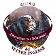 LA QUOTA “AMBITA”… <<50/20.000>> ******* “L’IMPRESCINDIBILE” PROMESSA NEI CONTESTI RILASCIATA ALLE ORIGINI DEL <<PARADISIACO VIAGGIO CINOFILO VENATORIO>> – POI, VIA/VIA COL SEGUITO ED IN SVARIATE SEQUENZE “REALIZZATOSI” – DIRETTAMENTE AL...