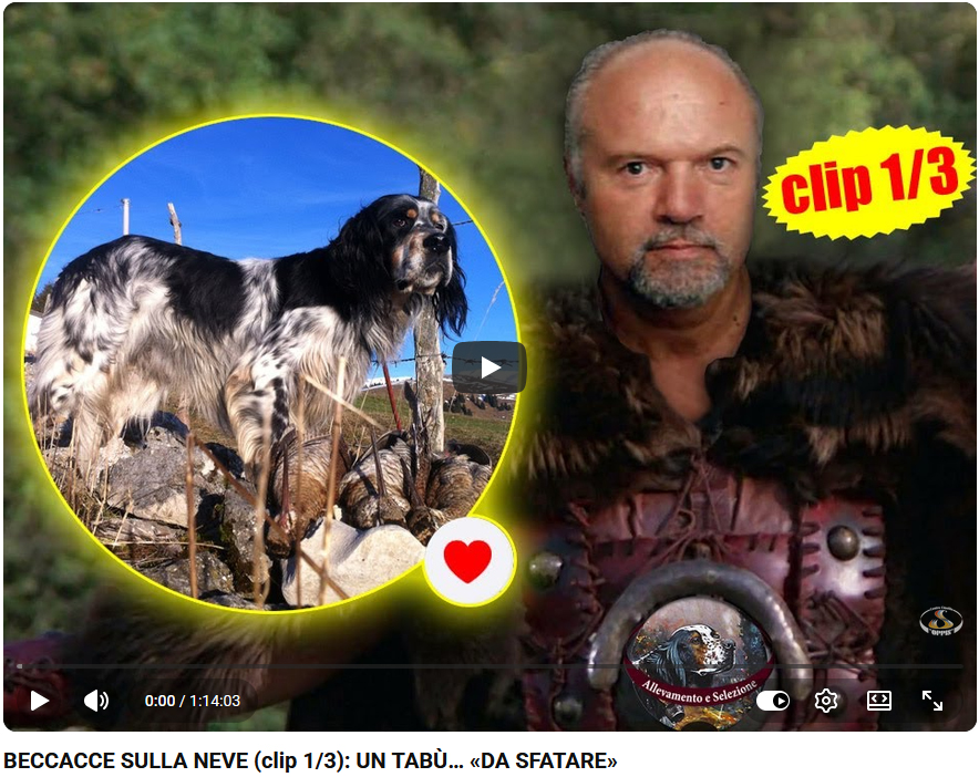 04_beccacce_sulla_neve_clip_1_3