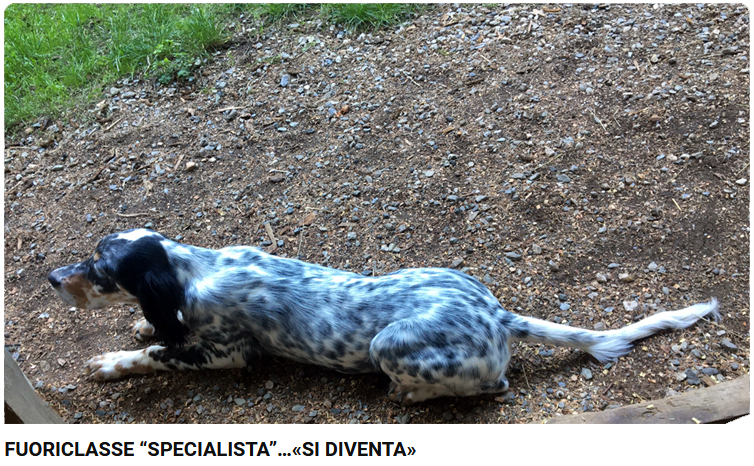 02_fuoriclasse_specialista