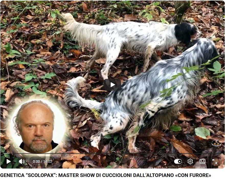 04_master_show_di_cuccioloni