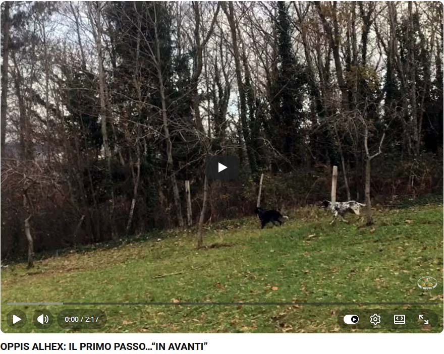 06_oppis_alhex_il_primo_passo
