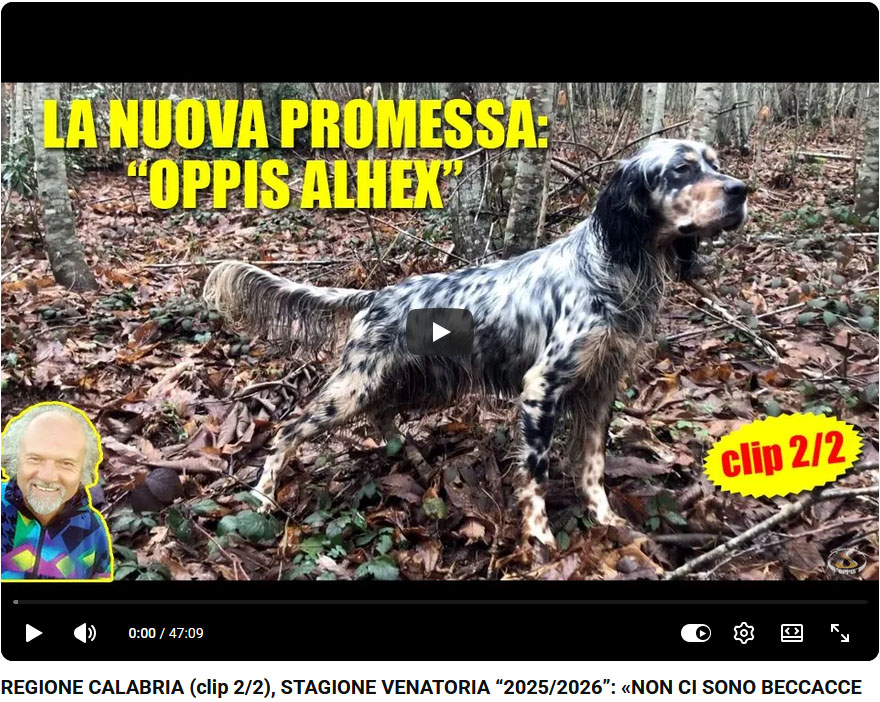 13_regione_calabria_clip_2_2