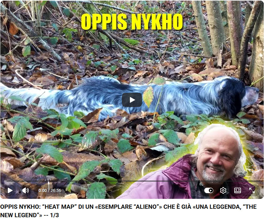 14_oppis_nykho_heat-map_1_3