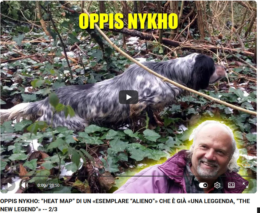 15_oppis_nykho_heat-map_2_3