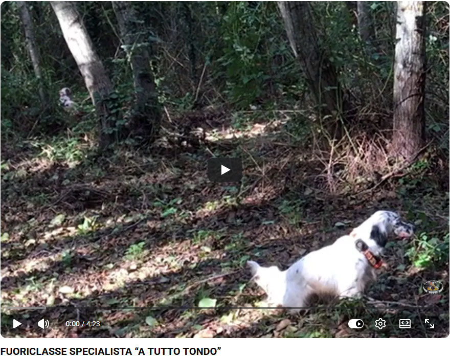 18_fuoriclasse_specialista